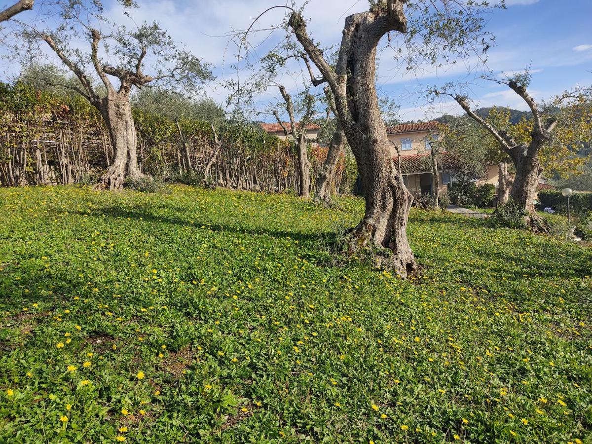 La Tana Del Geco Villa Massarosa Exteriör bild
