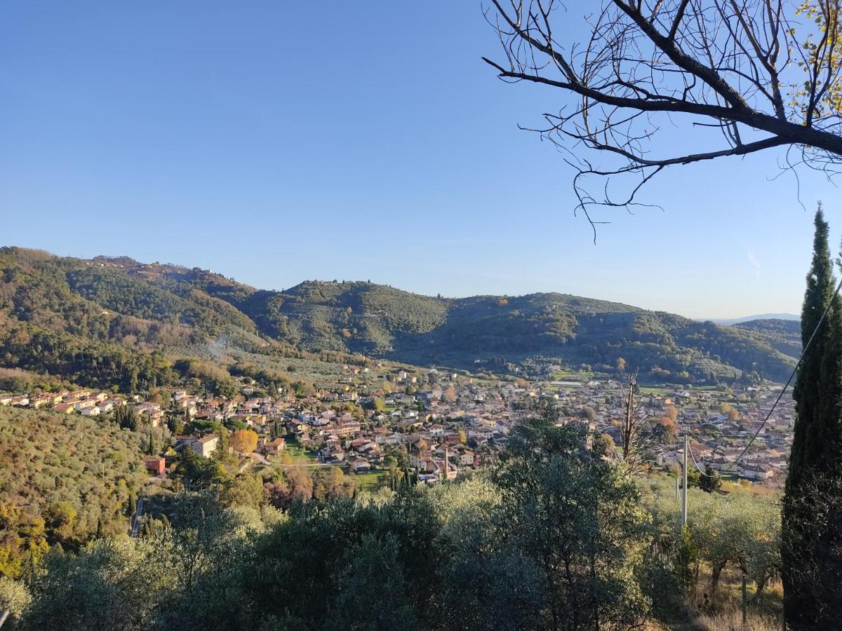La Tana Del Geco Villa Massarosa Exteriör bild