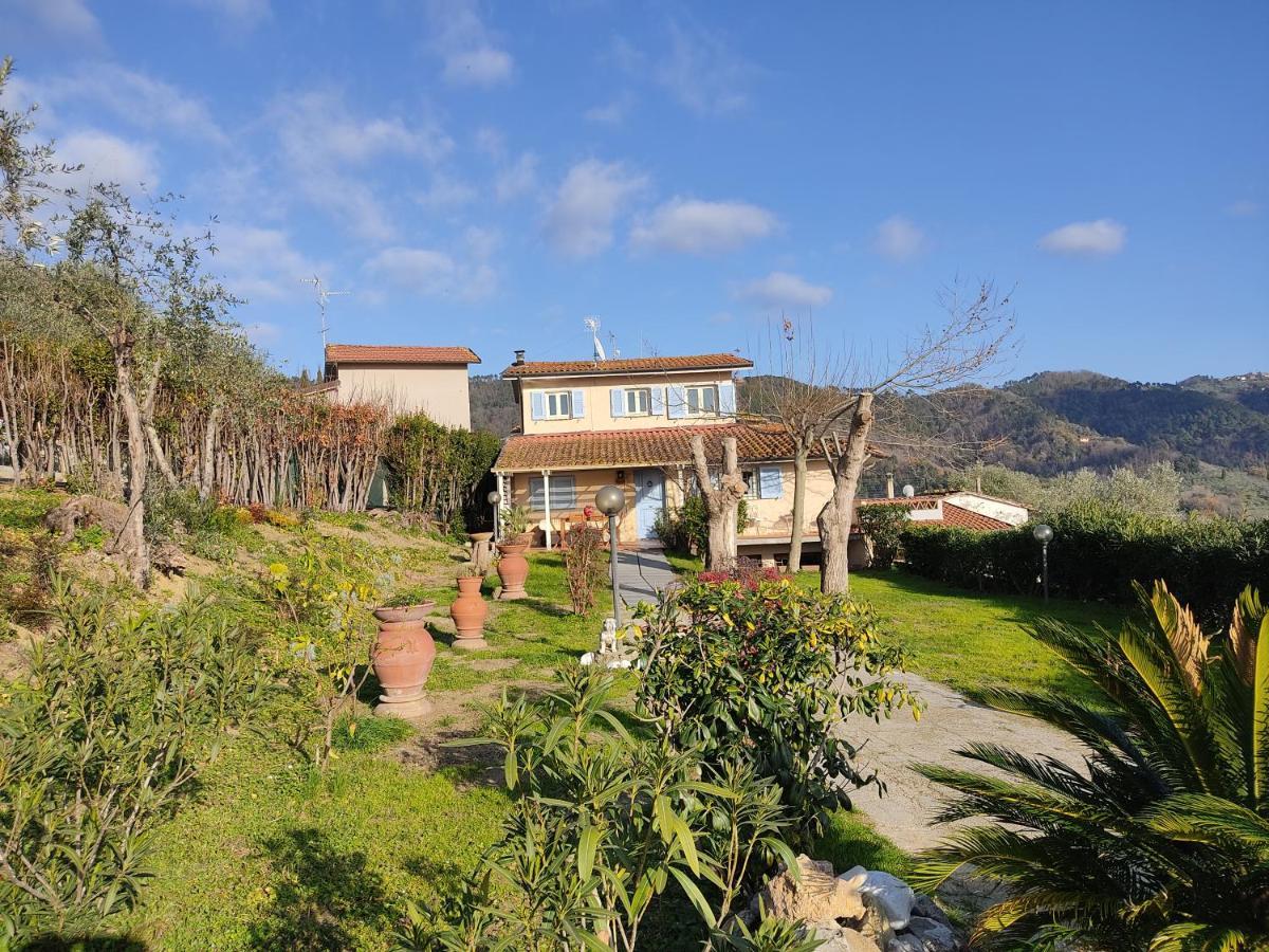 La Tana Del Geco Villa Massarosa Exteriör bild