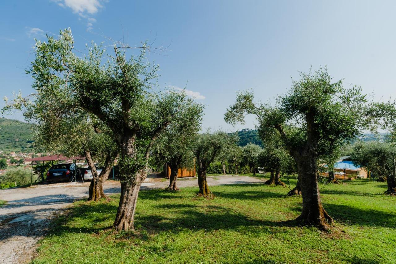 La Tana Del Geco Villa Massarosa Exteriör bild