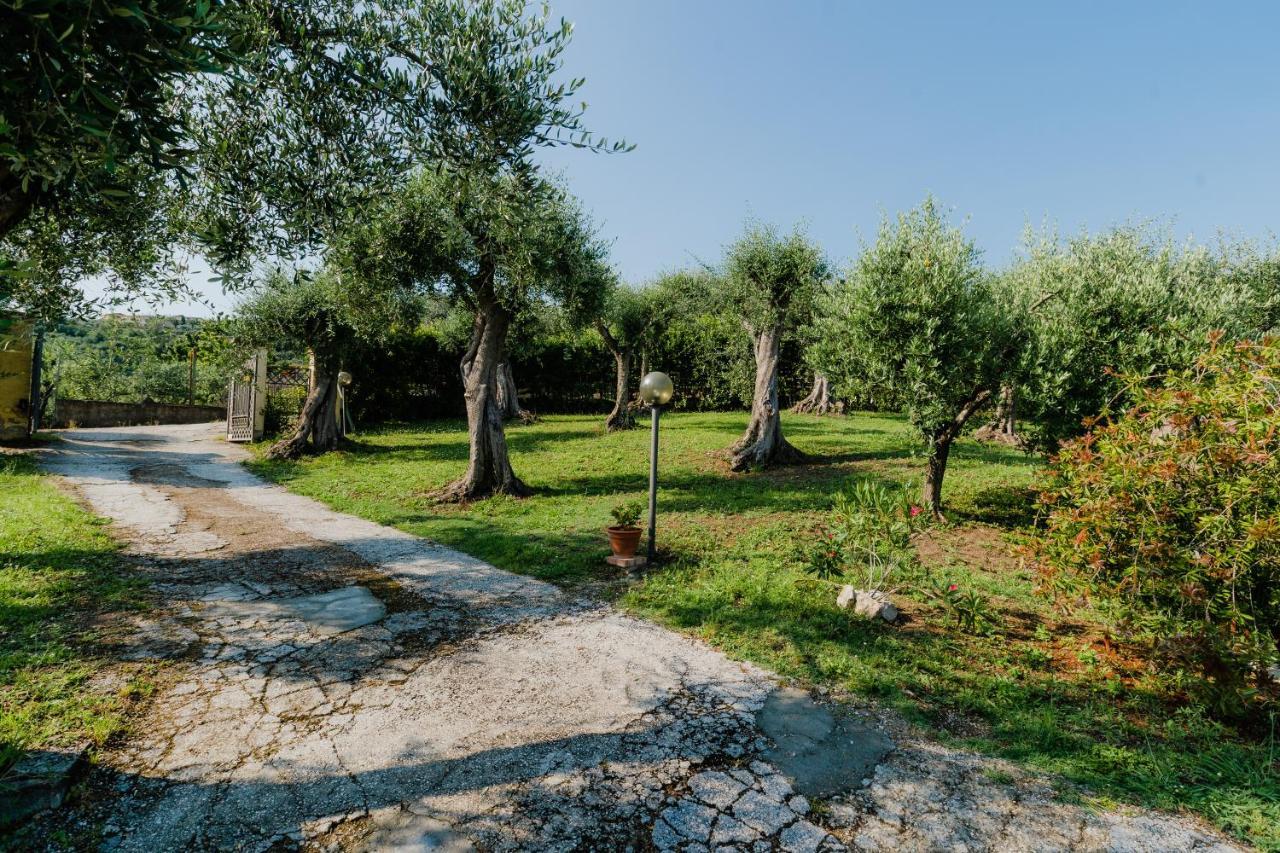 La Tana Del Geco Villa Massarosa Exteriör bild