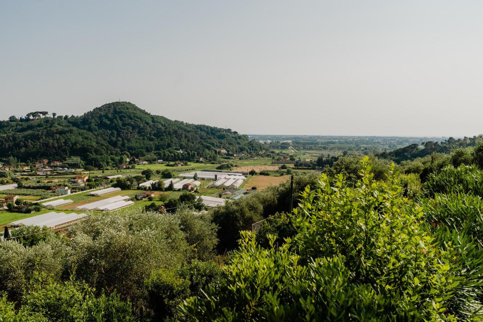 La Tana Del Geco Villa Massarosa Exteriör bild